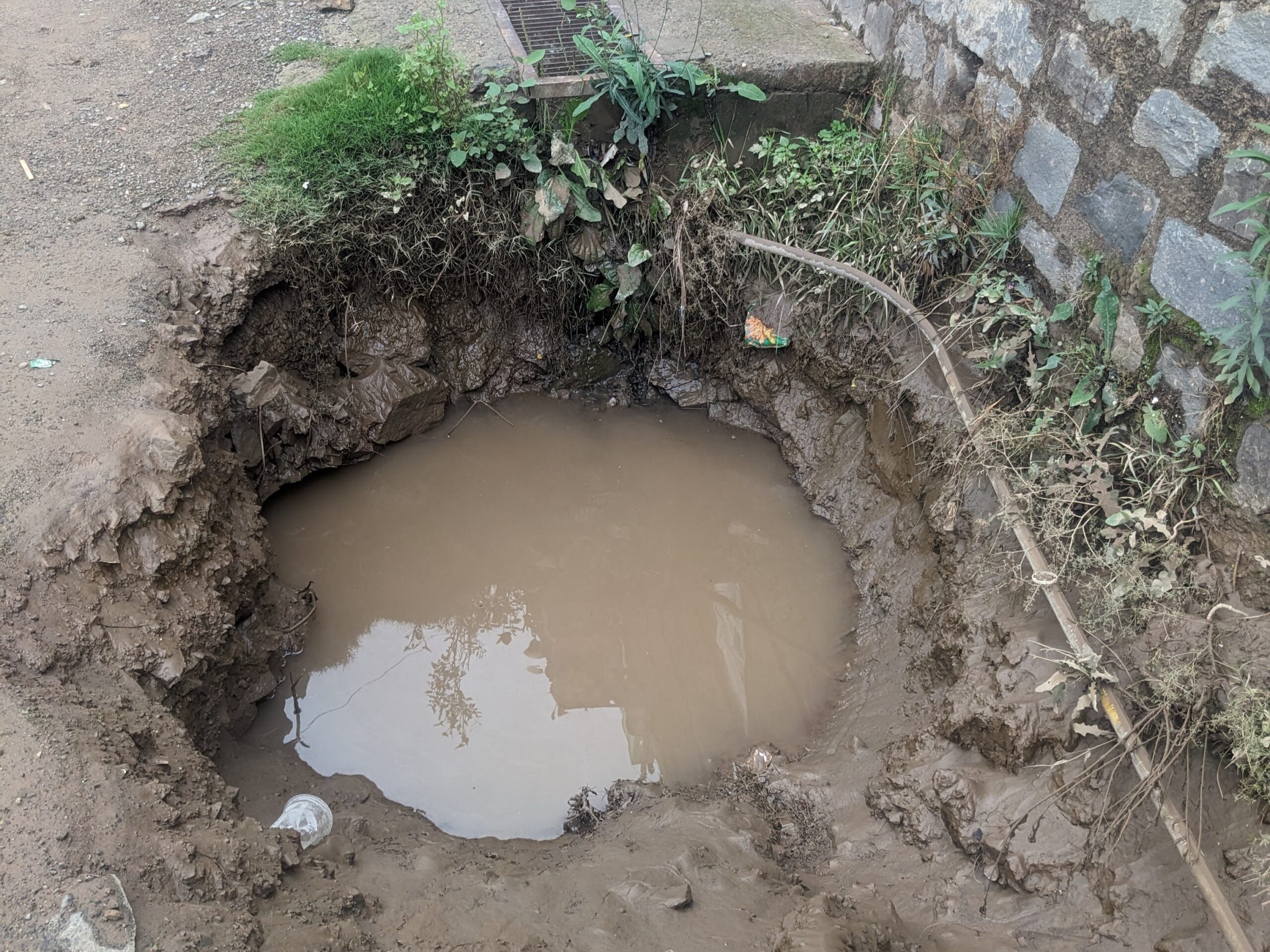 PXL_20240704_071952515