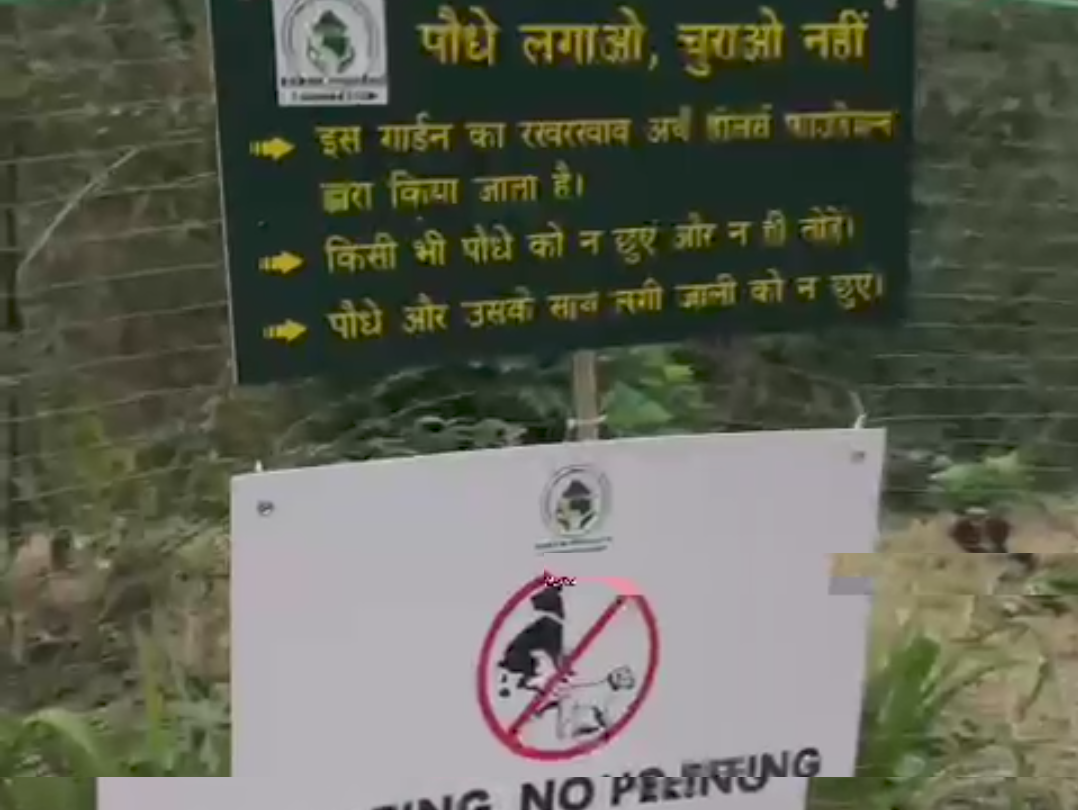 Screenshot_20250615-014945