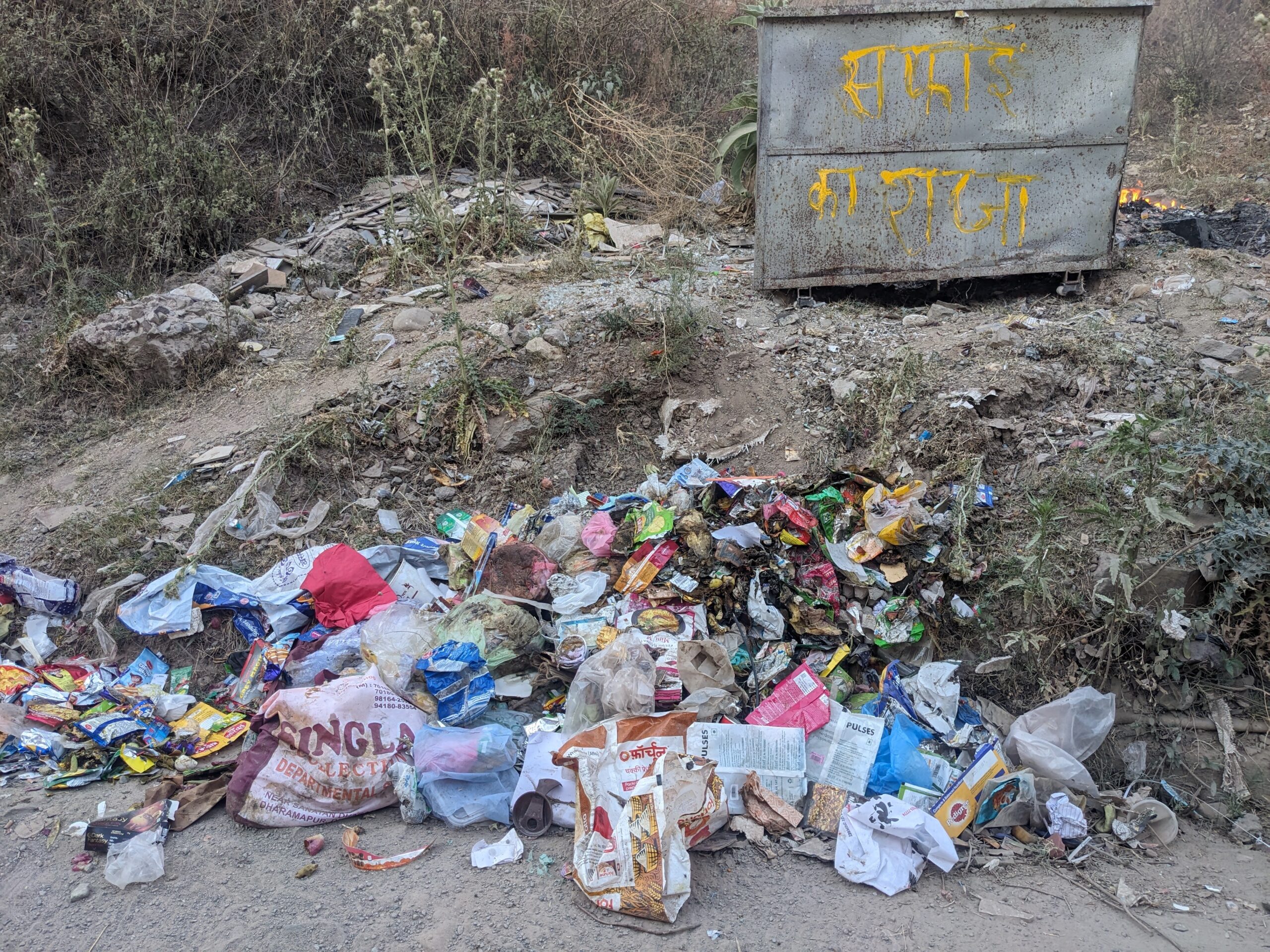 PXL_20240528_125004715