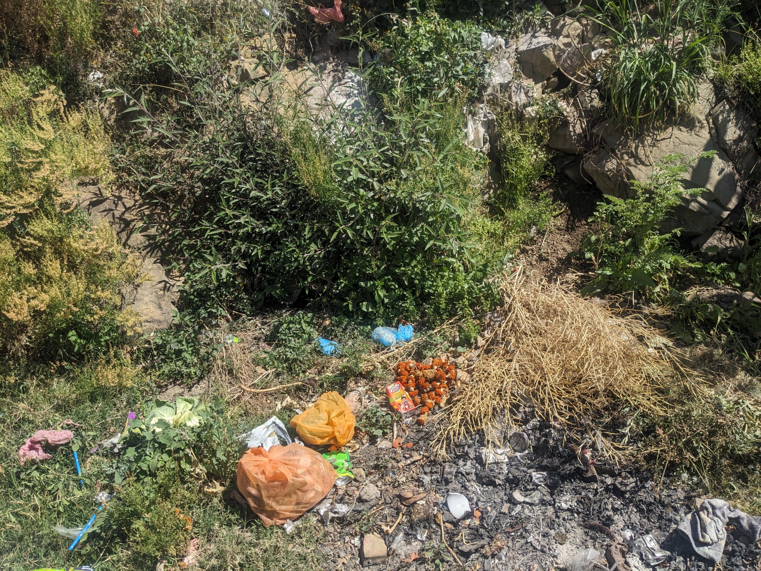 PXL_20250330_055526270