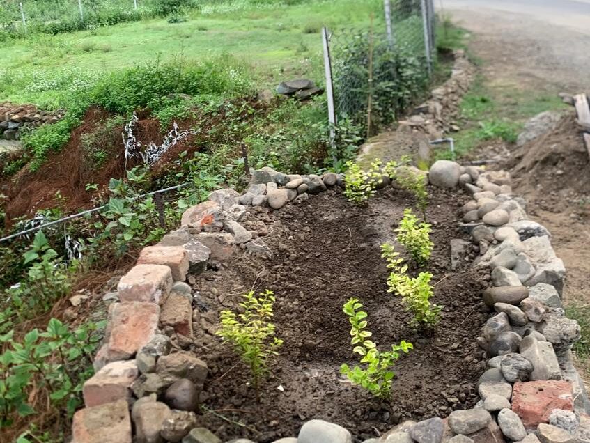 WhatsApp Image 2026-04-02 at 1.49.40 AM (1)