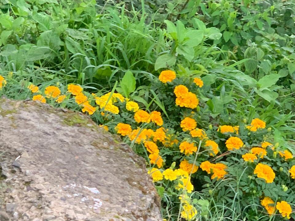 WhatsApp Image 2026-04-02 at 1.49.41 AM (1)