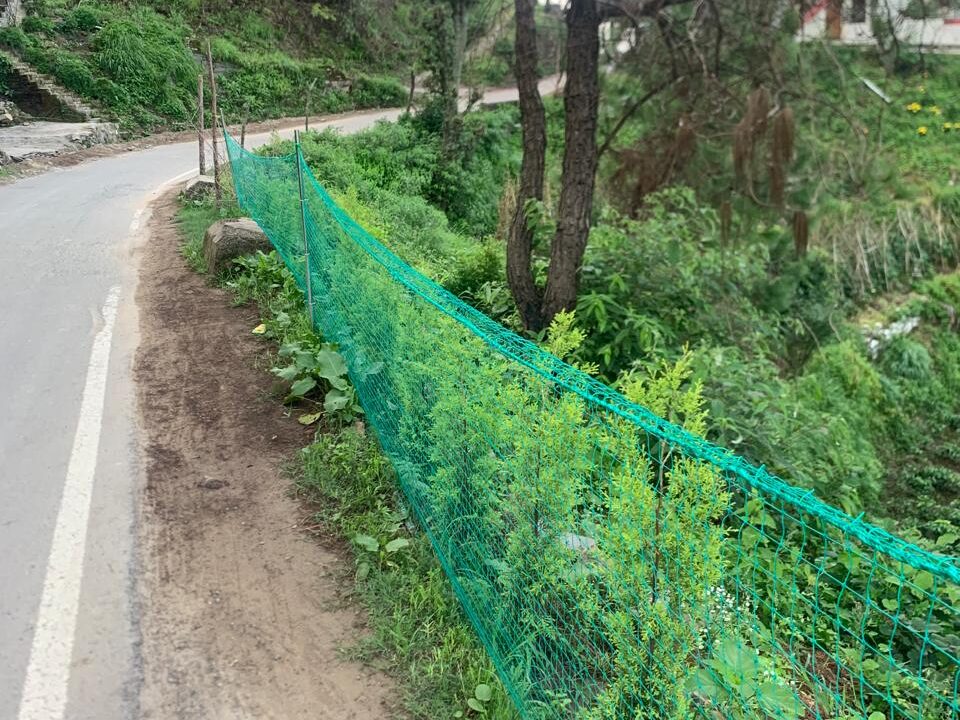 WhatsApp Image 2026-04-02 at 1.49.41 AM (2)