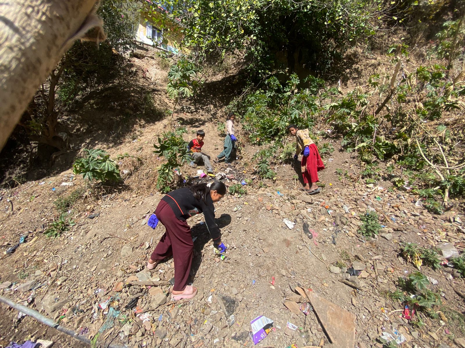 WhatsApp Image 2026-04-02 at 1.49.44 AM